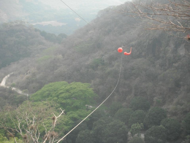 Lanzarse en tirolesa.jpg